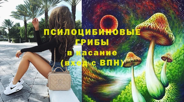 винт Инта