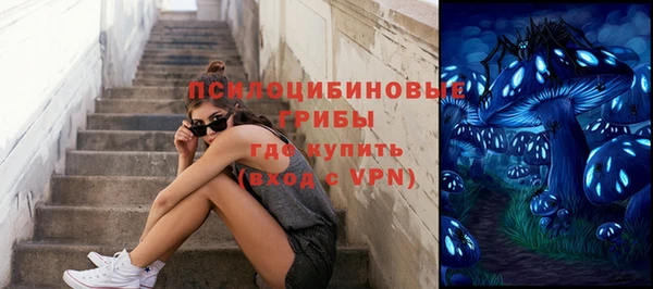 МДПВ Зеленодольск
