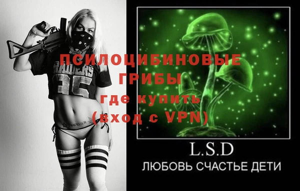 а пвп мука Инсар